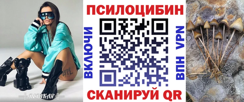 это официальный сайт  Раменское  Галлюциногенные грибы GOLDEN TEACHER  цены  